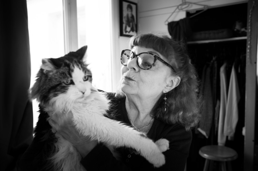 shooting photo chat à domicile par nathalie tiennot, photographe pour animaux de compagnie à paris