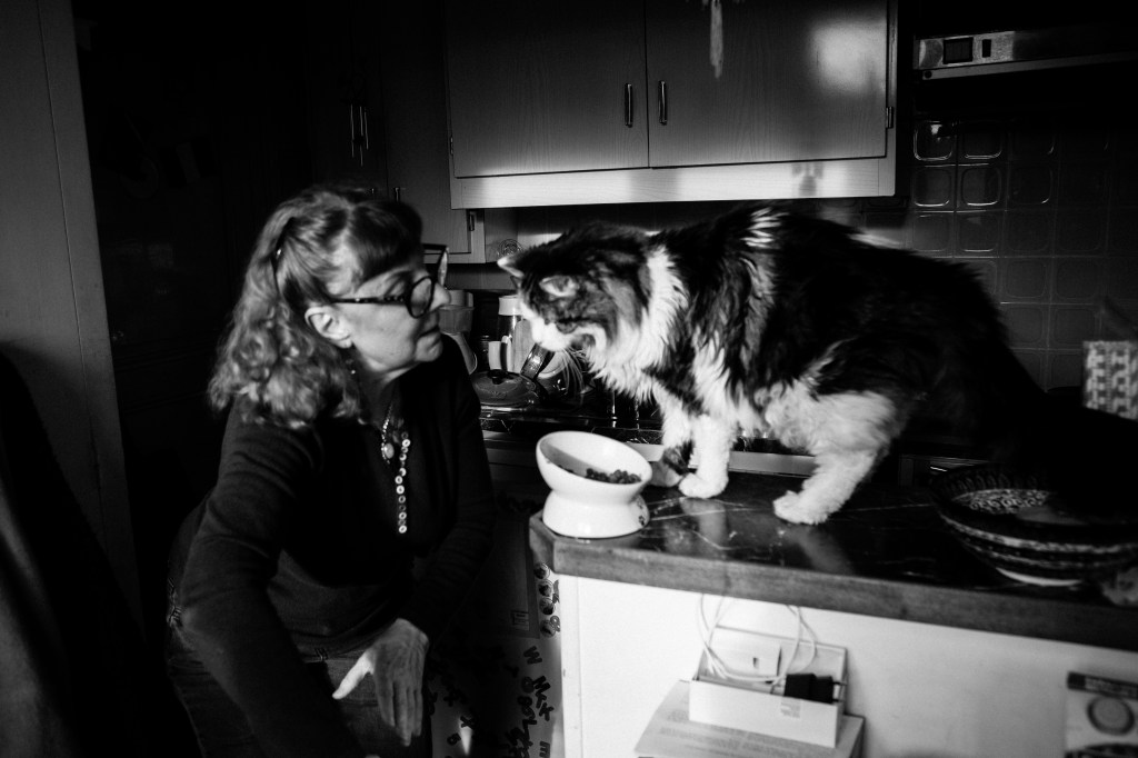 shooting photo à domicile pour chat, paris