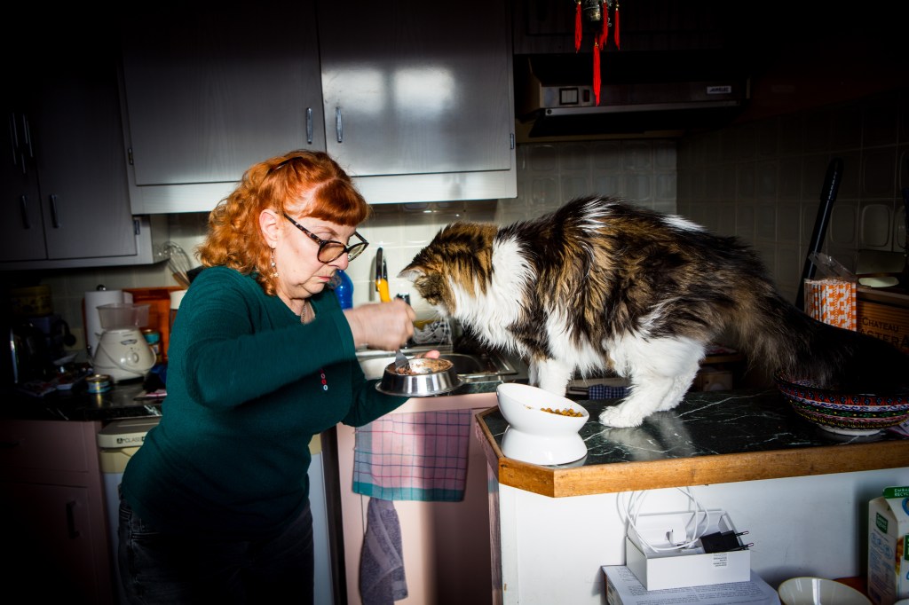 reportage photo pour chat à paris