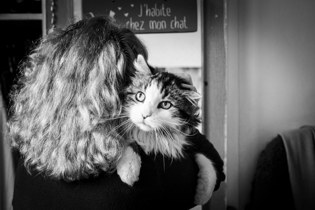 le plus vieux caht de Paris par nathalie Tiennot, photographe animalier