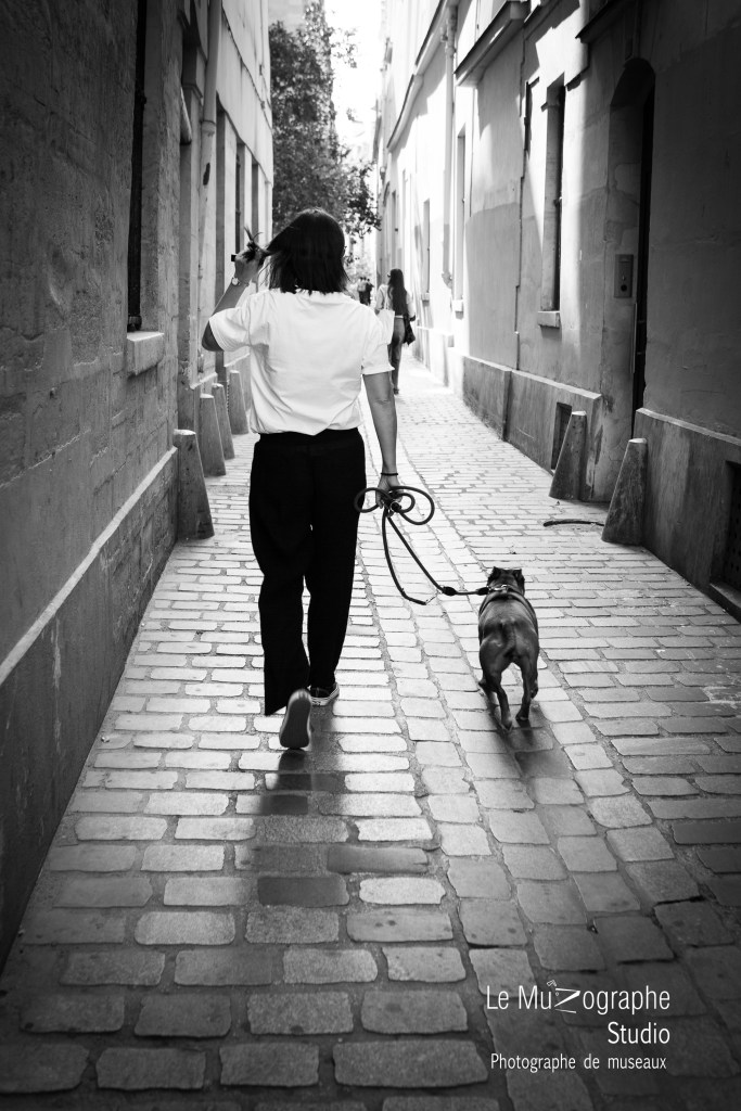 reportage photo pour chien et chat à Paris, photographe animalière 75