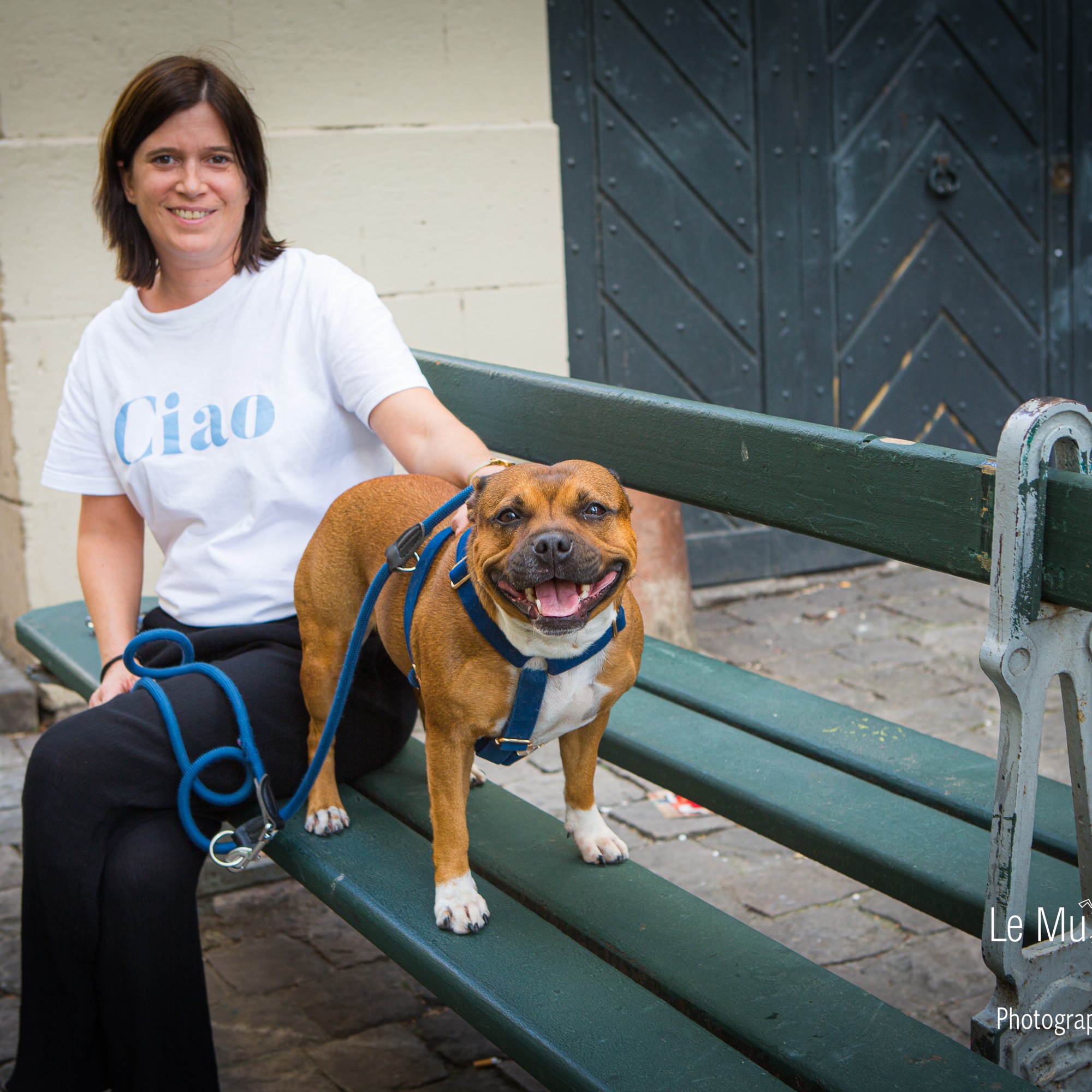 Photographe animalière pour chien, chat et animaux de compagnie en région parisienne