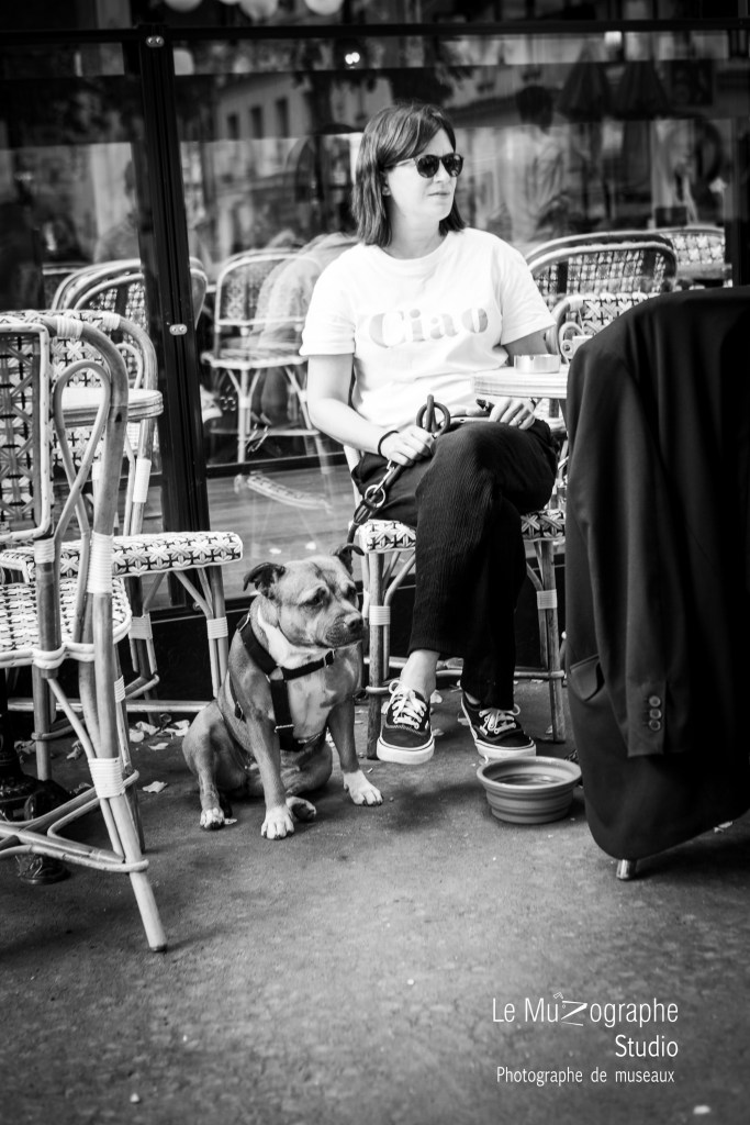 séance photo avec mon chien à Paris, le MuZographe photographe pour animaux de compagnie à Paris