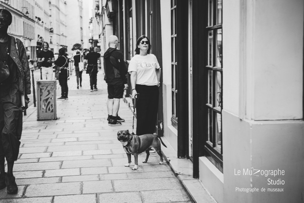 séance photo chien en extérieur à Paris, shooting photo avec chien