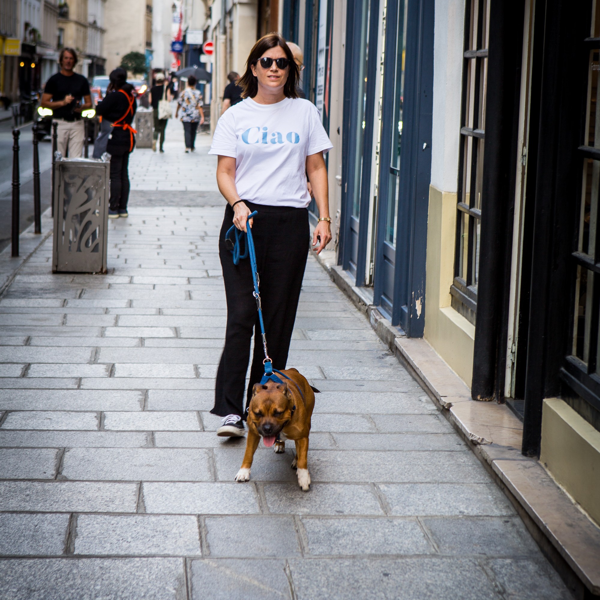 photographe animalière à Paris, shooting cadeau pour animaux à Paris
