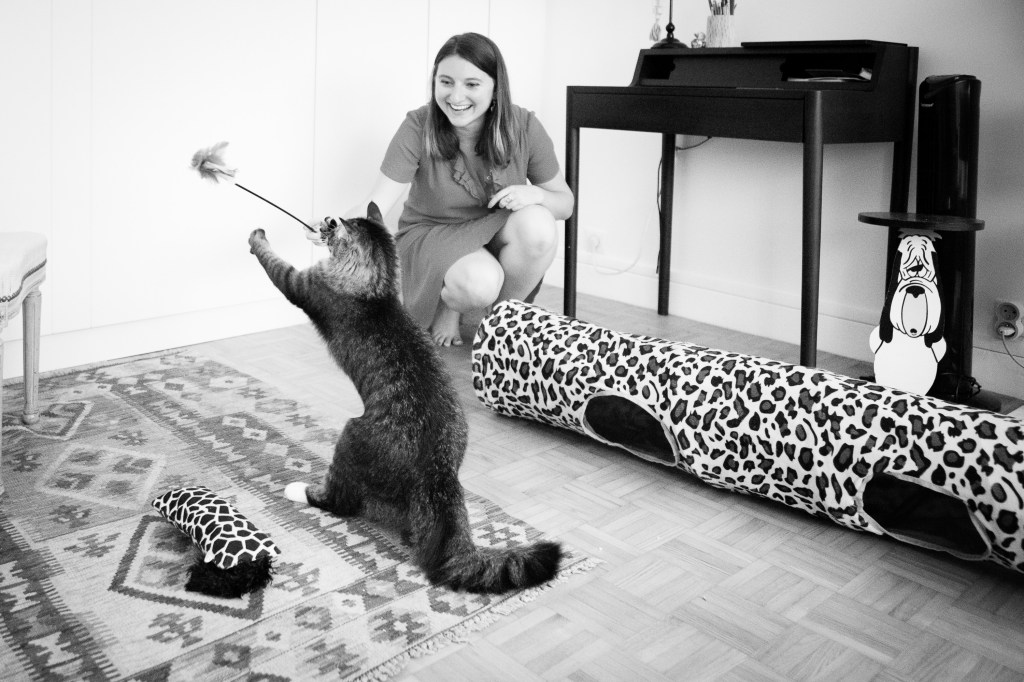 shooting photo cadeau de noël pour chat et chien à Paris et en région parisienne