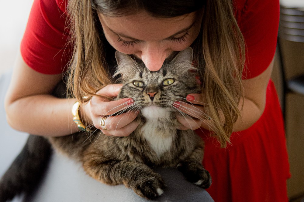 offrir une séance photo avec mon chat à domicile avec photographe pour animaux de compagnie