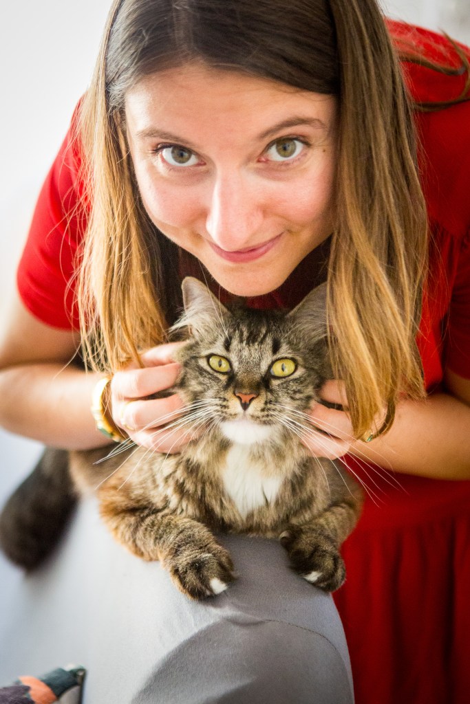shooting photo pour chat parisien avec photographe félin spécialiste des chats à paris