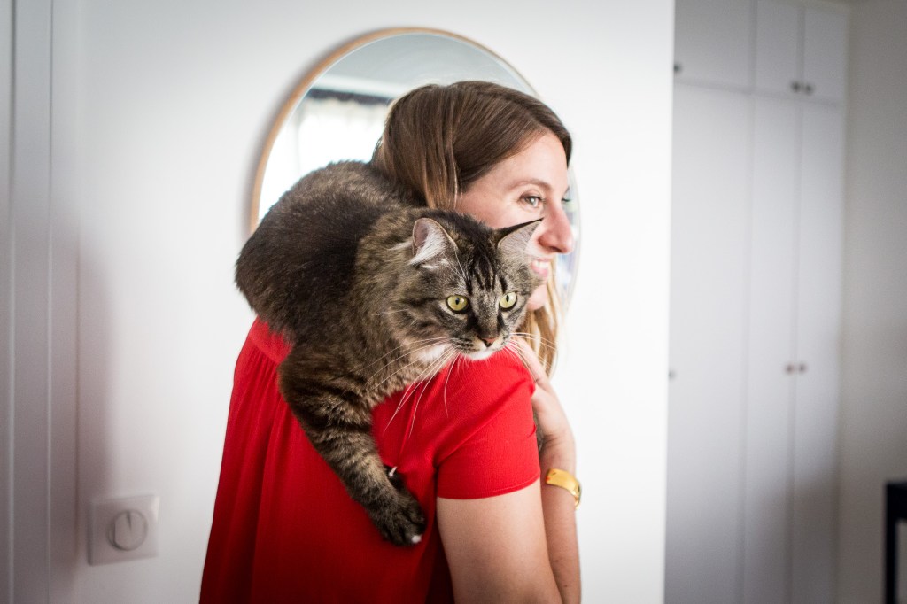 reportage photo animalier avec chat maincoon à domicile, Paris