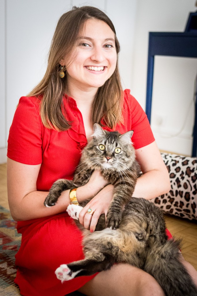 séance photo cadeau de noël pour chat parisien