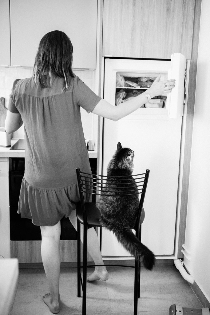 shooting photo à offrir pour chat parisien à domicile, à Paris et région parisienne.