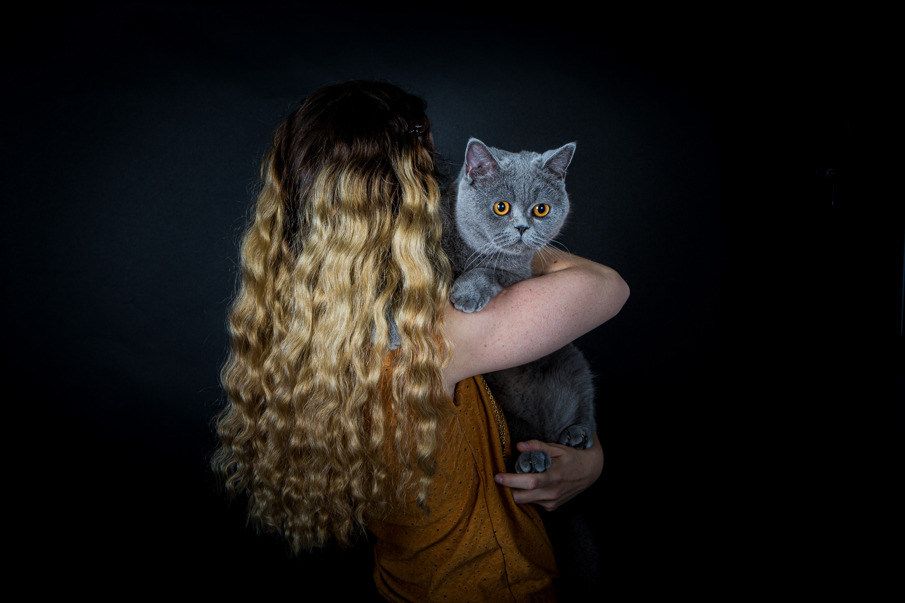 shooting chat en studio avec maitre à Paris et région parisienne. le muzographe, studio photo spécialisé pour animaux de compagnie à Paris