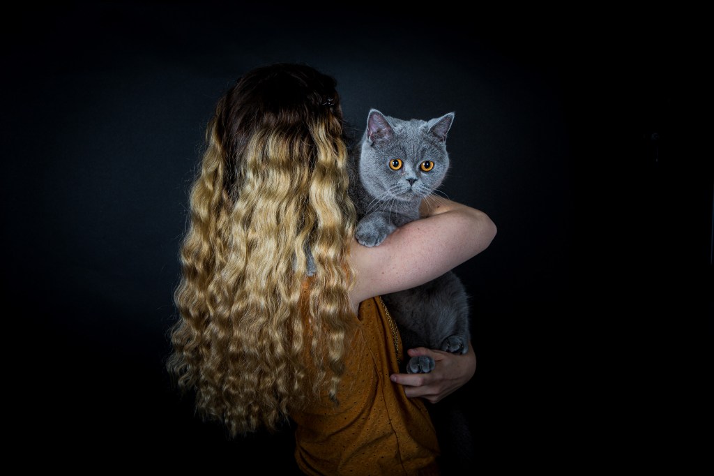 shooting chat en studio avec maitre à Paris et région parisienne. le muzographe, studio photo spécialisé pour animaux de compagnie à Paris