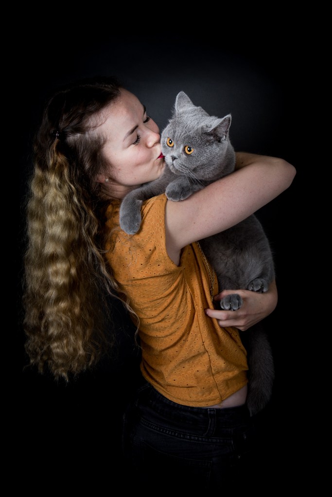 séance photo cadeau pour chat en studio à Paris, Nathalie Tiennot photographe animalier félin