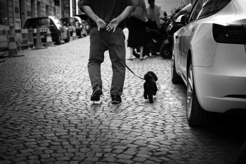 Séance photo avec mon chien à Paris 17éme