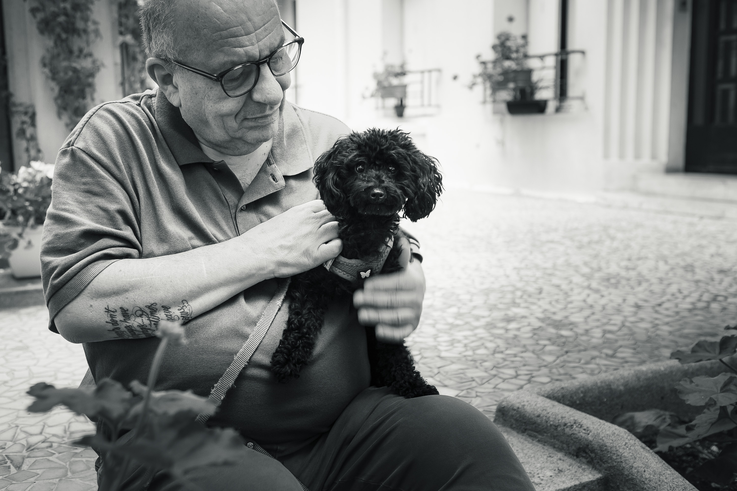 Séance photo chien et famille par le Muzographe spécialiste chiens et chats