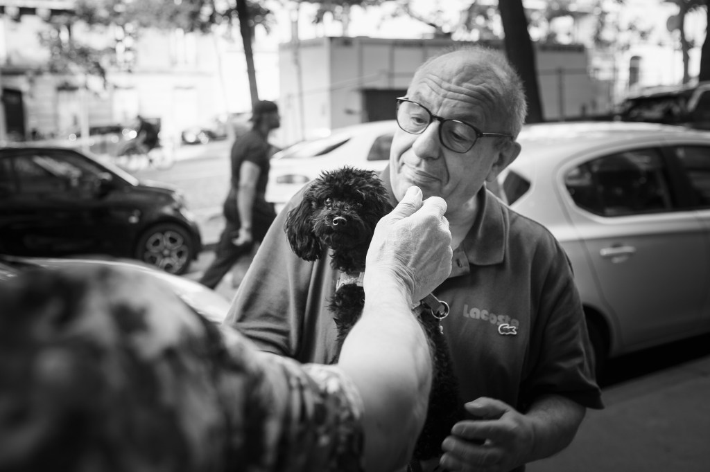 Portrait pour chien et animaux de compagnie en noir et blanc à Paris, Bourges dans le Berry