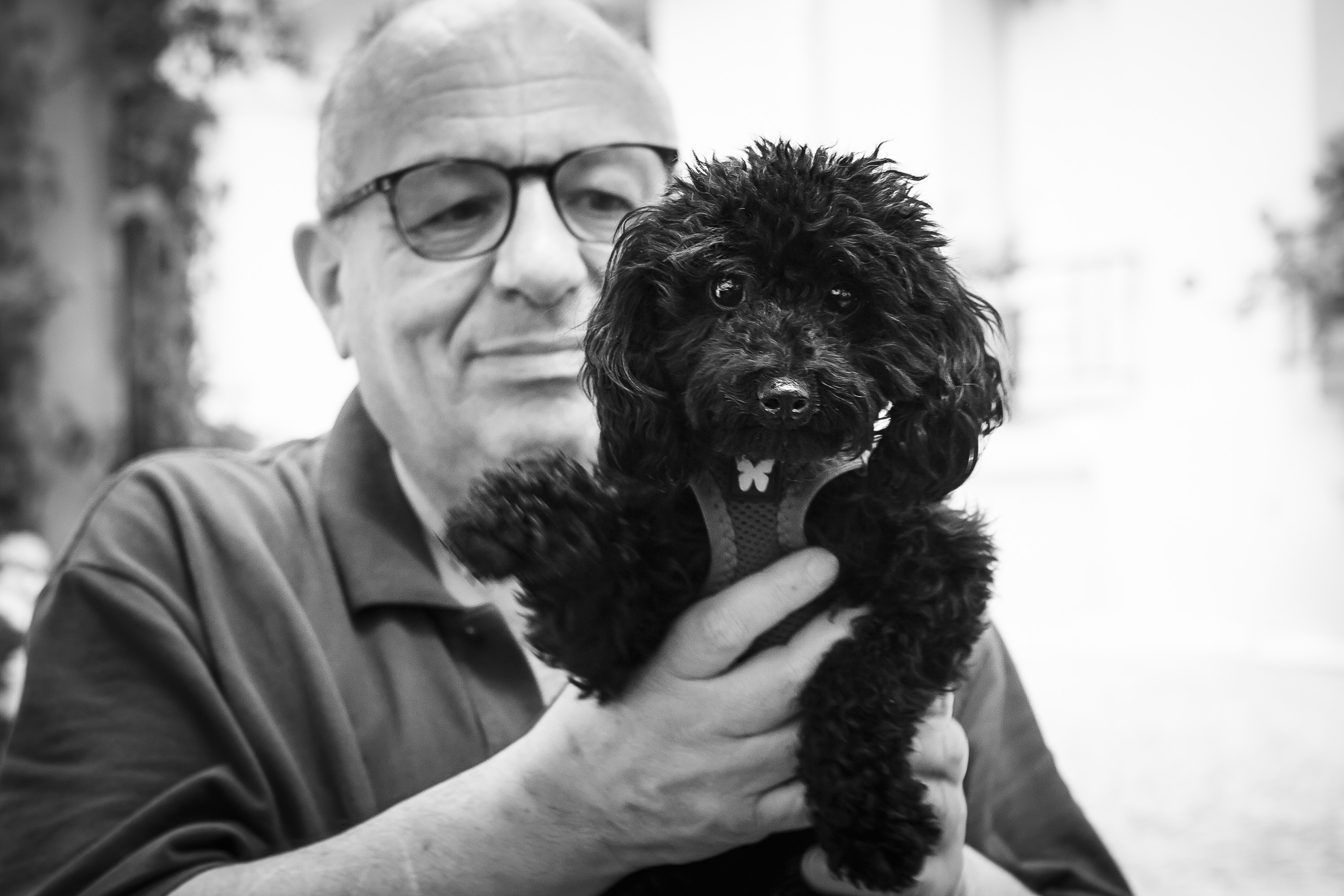 séance photo avec mon chien par photographe animalier
