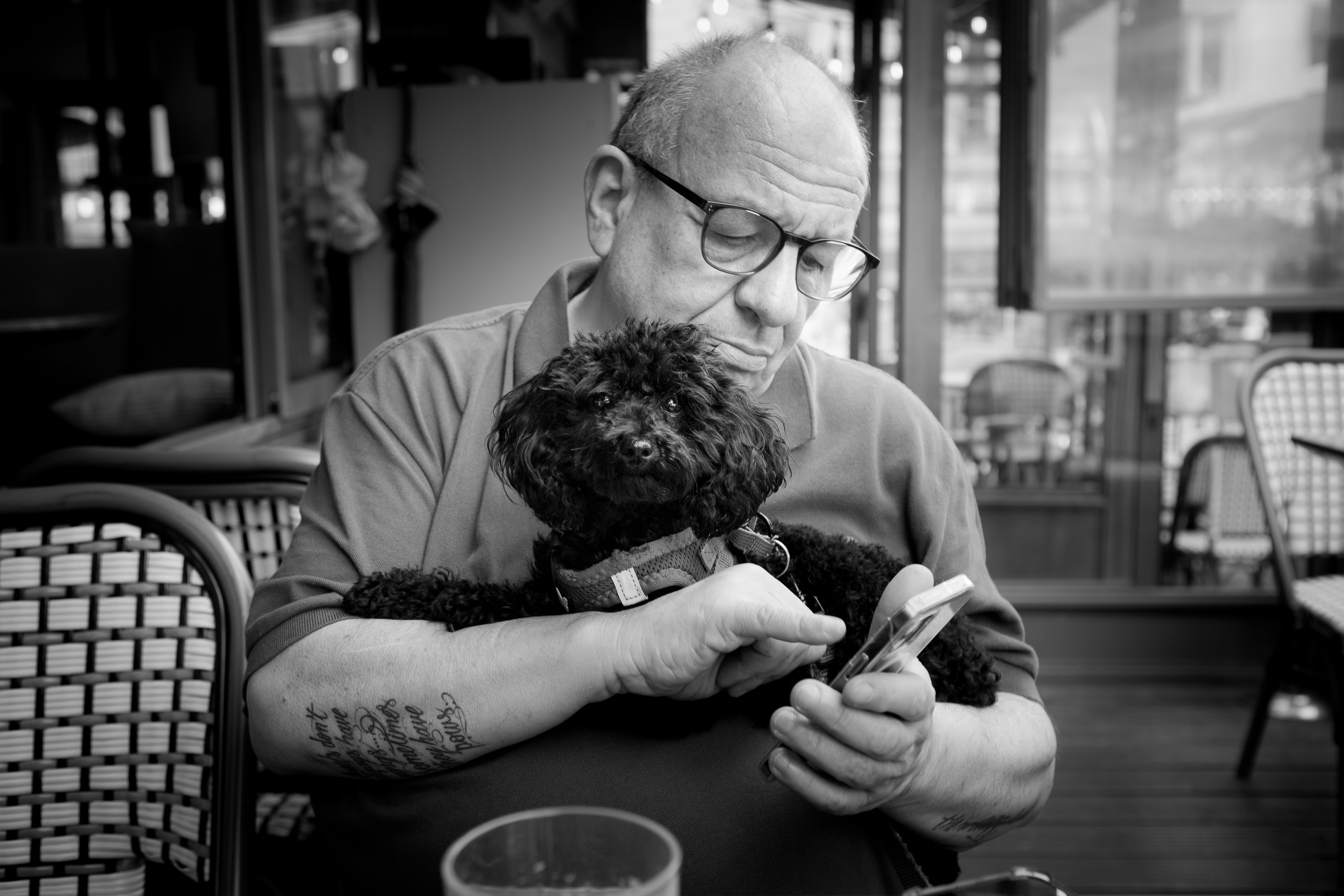 Photographe animalier chien et chat Paris et 92
