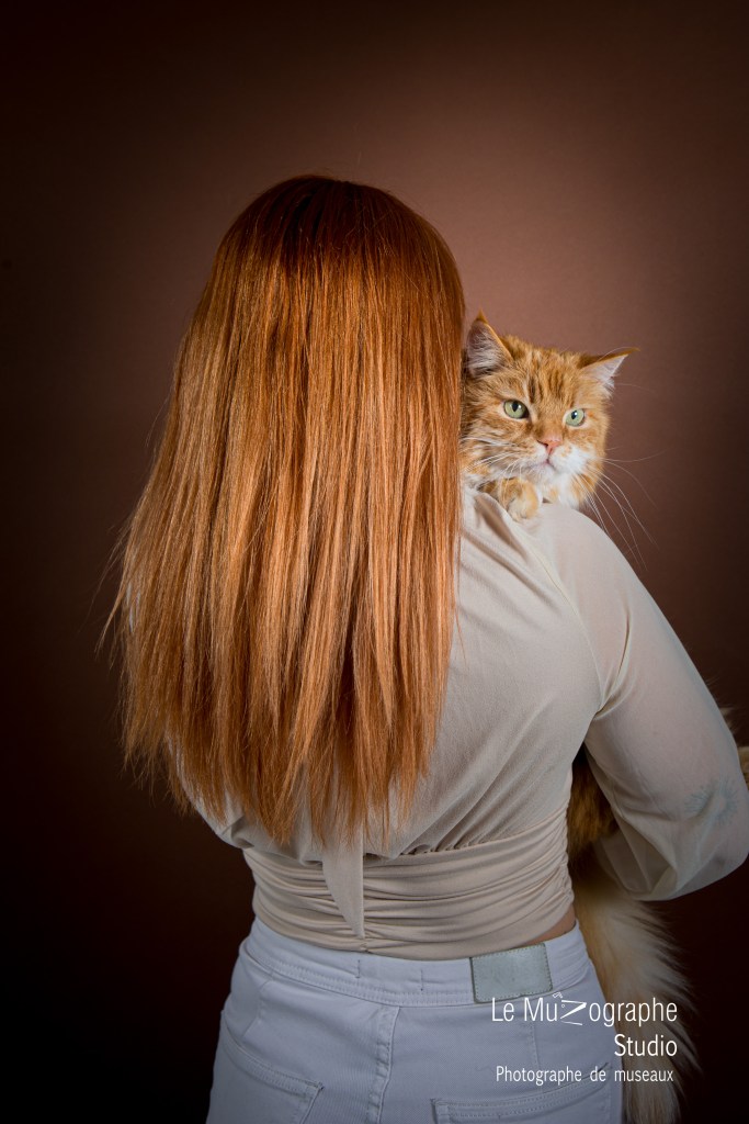 Portrait chat studio Photographie animalière