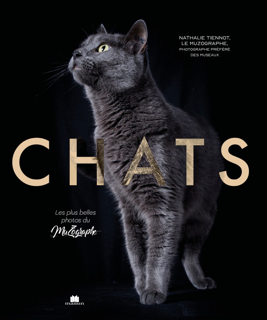 Portaits félins en studio par la photographe féline Nathalie Tiennot