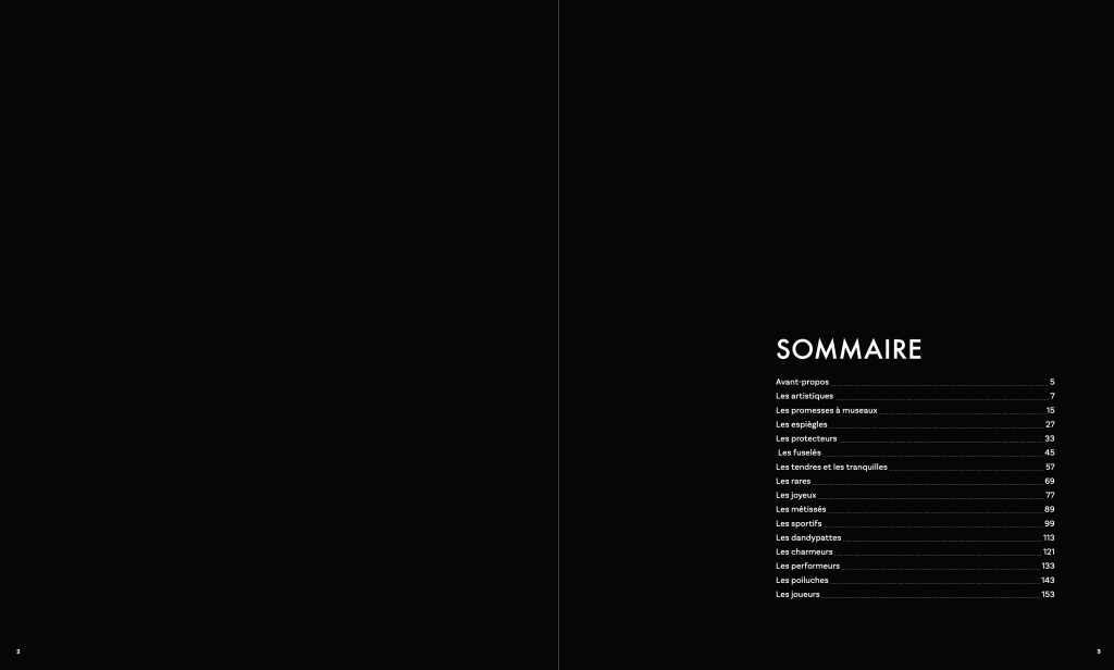 Extrait livre chiens de Nathalie Tiennot le muzographe, cadeau pour chiens