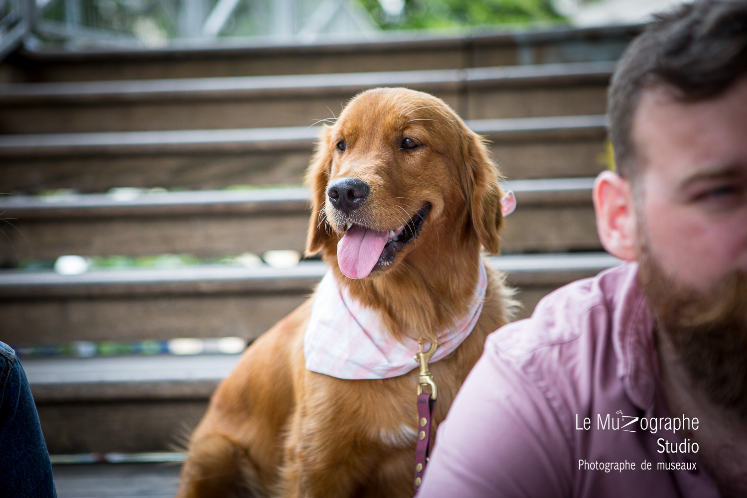 Séance photo pour chien, en famille en couple à Paris
