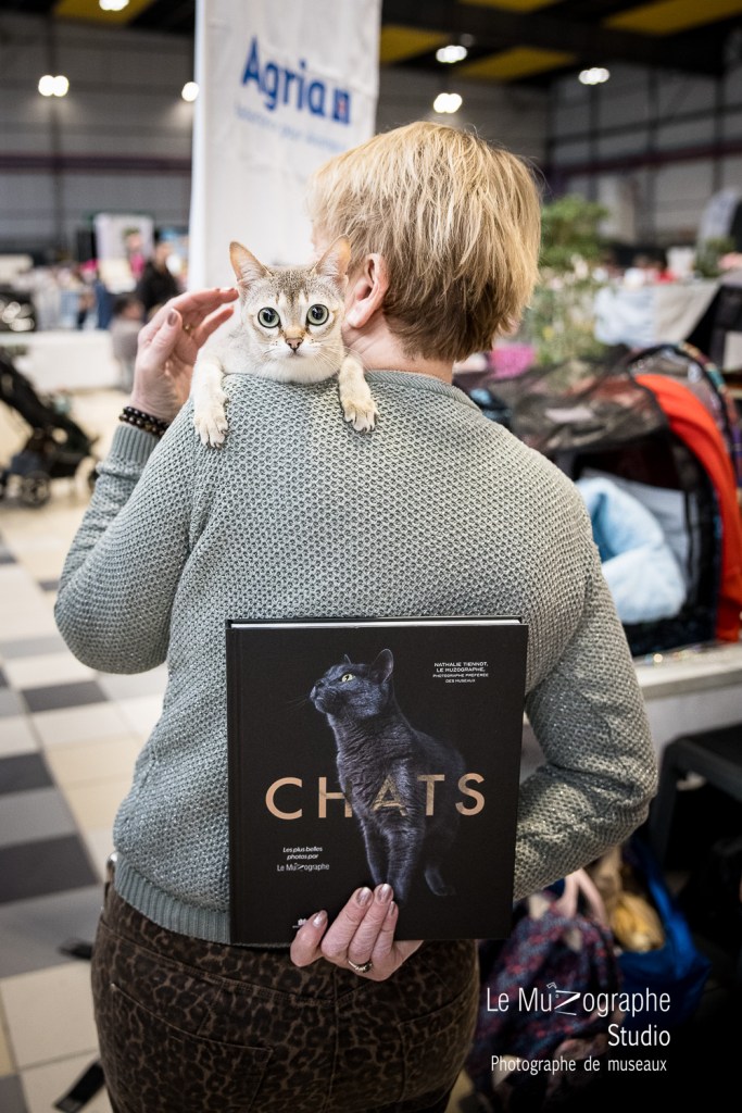 Cattery les Chamourais, avec Catherine Bourreau et son singapura et son Livre CHATS de Nathalie Tiennot