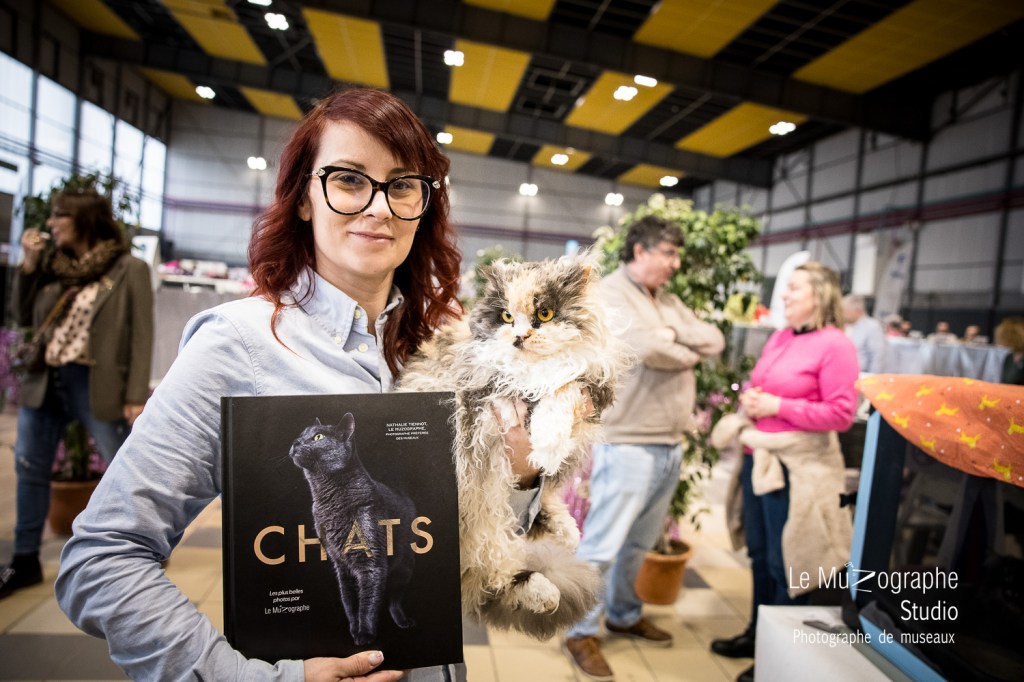 les bibidi coon's Tyfène Bettefort à l'exposition féline de Toulouse, février 2026