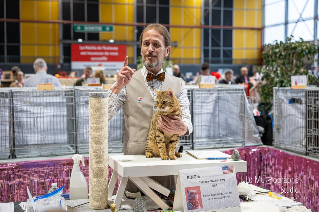 reportage évènementiel salon félin de Toulouse par le CFL Le Muzographe
