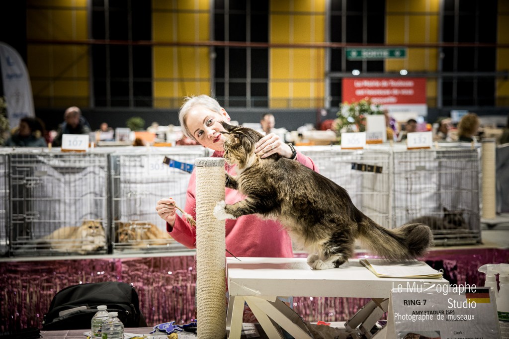 reportage évènementiel salon félin de Toulouse par le CFL Le Muzographe