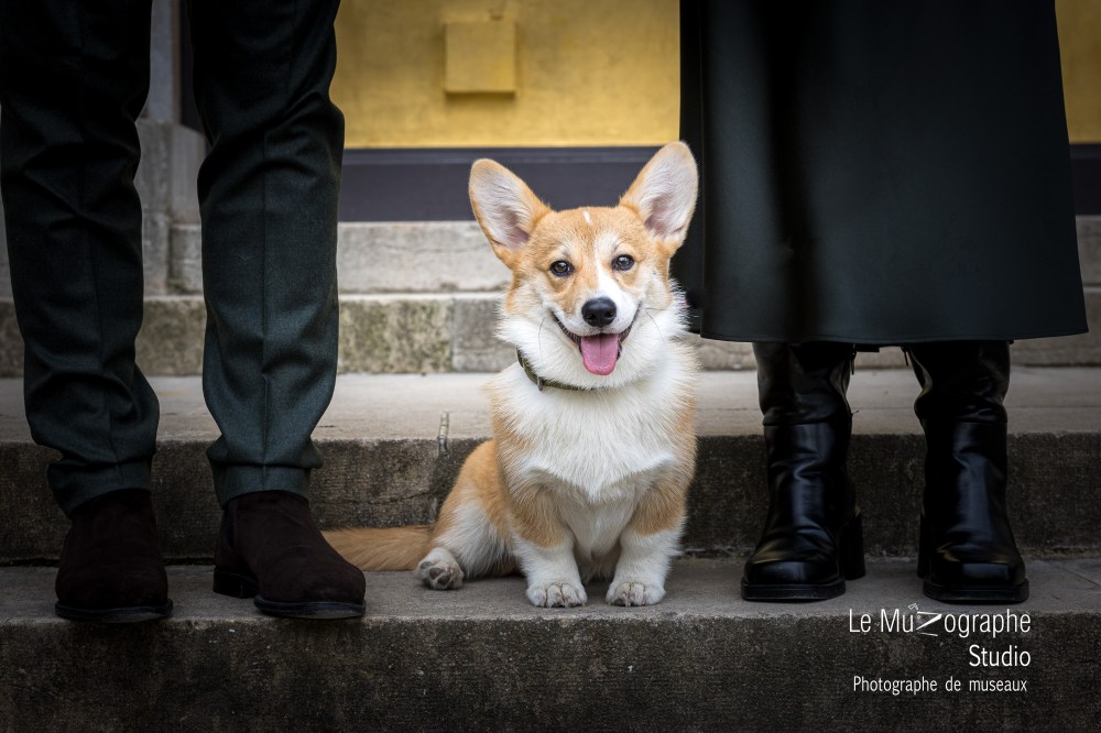 Shooting couple et chien à Paris, Toulouse, bordeaux Bourges avec photographe spécialiste des chiens et chats