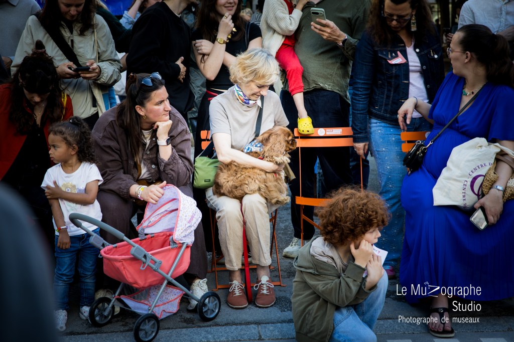 Photographe professionnel canin félin chats et chiens à Paris