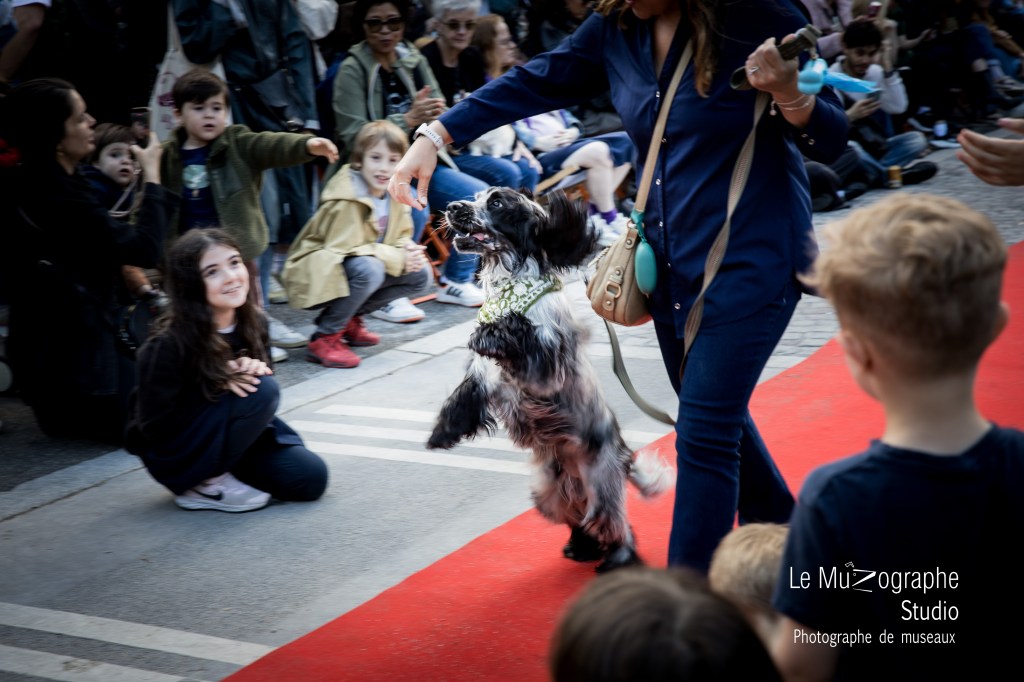 Reportage canin pour la mairie de Paris11
