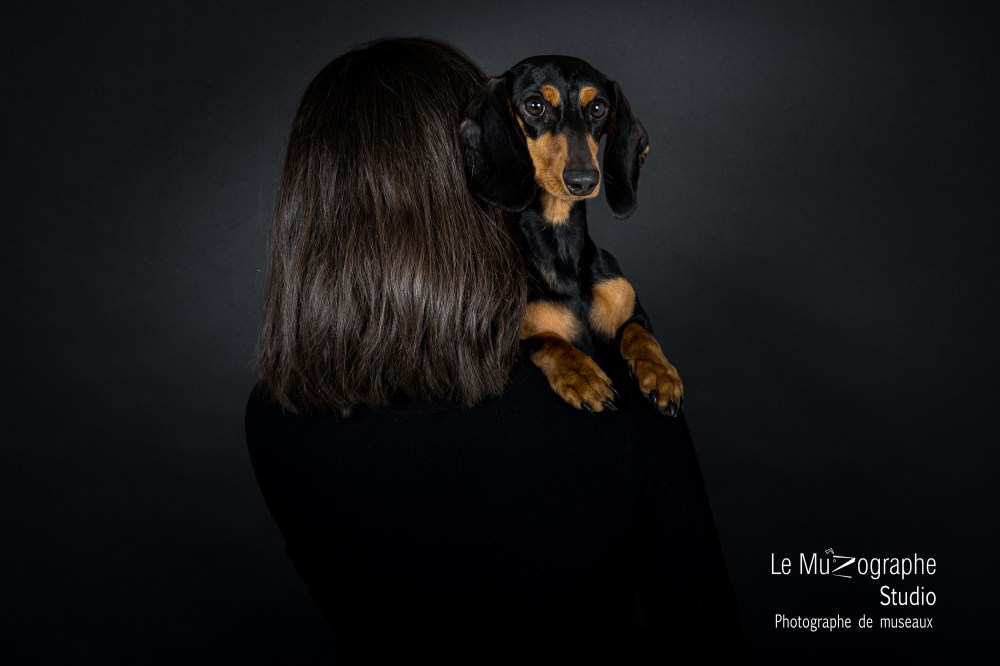 photographe pour chien teckel à Paris, Bordeaux, Toulouse, Bourges