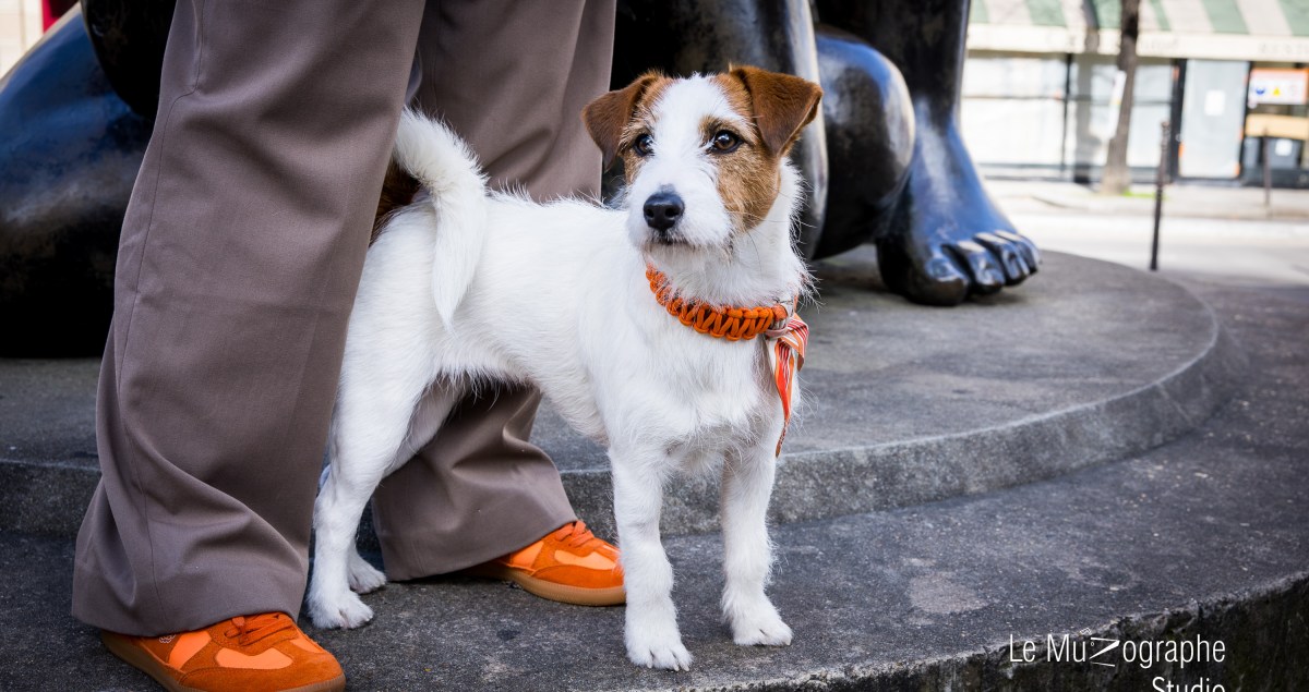 Le Muzographe, photographe professionnel pour chien et chat, Paris
