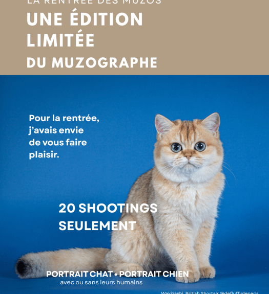Édition limitée du MuZographe pour des séances photo de chiens et de chats, avec ou sans leurs humains, en studio ou en extérieur à Paris et Toulouse.