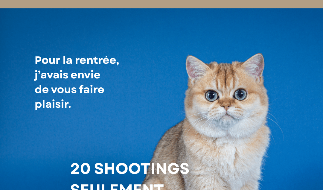 Édition limitée du MuZographe pour des séances photo de chiens et de chats, avec ou sans leurs humains, en studio ou en extérieur à Paris et Toulouse.